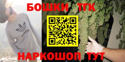 прущие грибы Будённовск