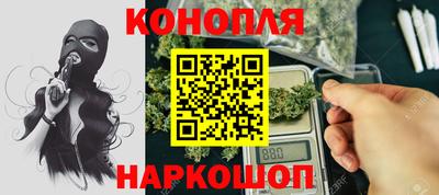 прущие грибы Будённовск
