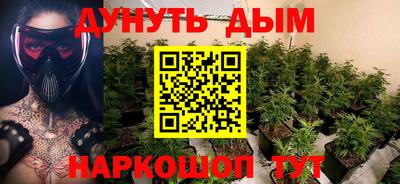 прущие грибы Будённовск