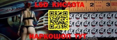 прущие грибы Будённовск