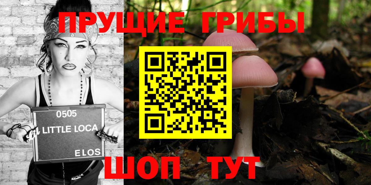 Галлюциногенные грибы Psilocybe  Вход с VPN  Махачкала 