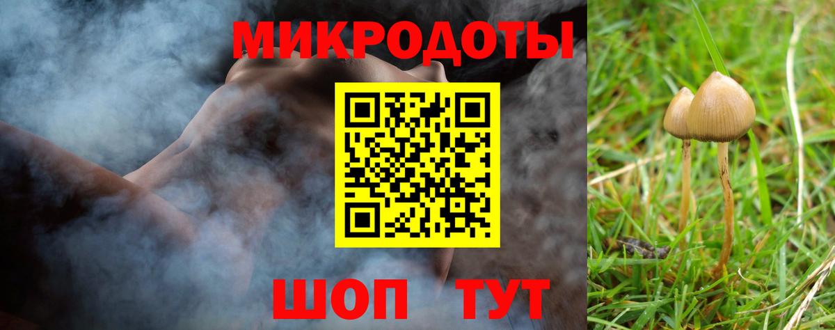 Псилоцибиновые грибы Magic Shrooms Махачкала